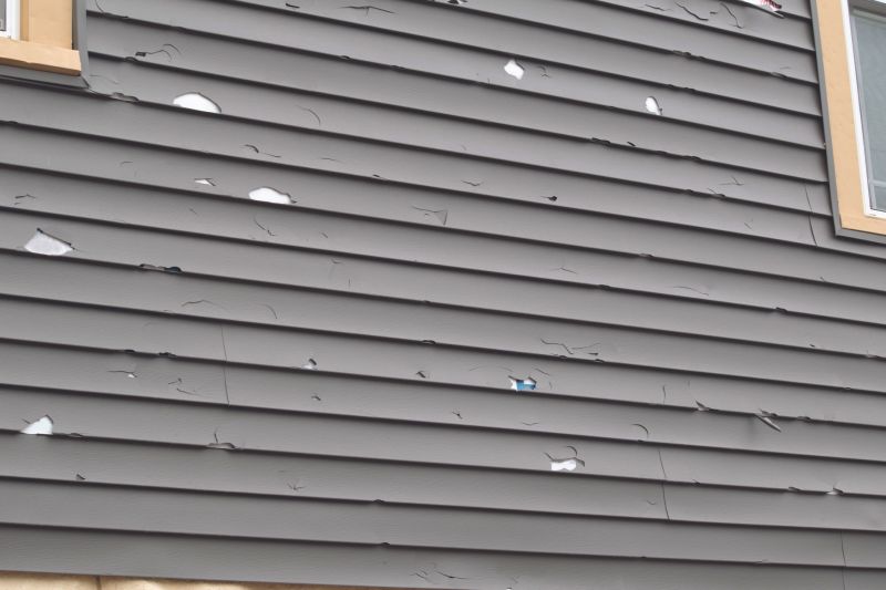 Siding Restoration Experts