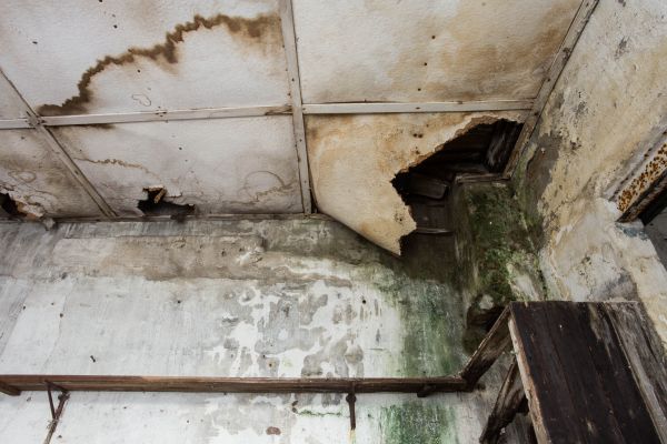 Cost of Water Damage Service in Colorado Springs