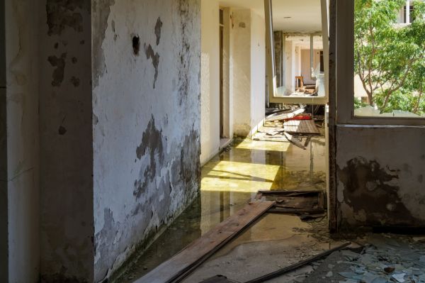 Cost of Water Removal Service in Colorado Springs