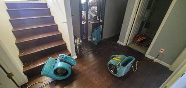 Cost of Water Damage Remediation in Colorado Springs