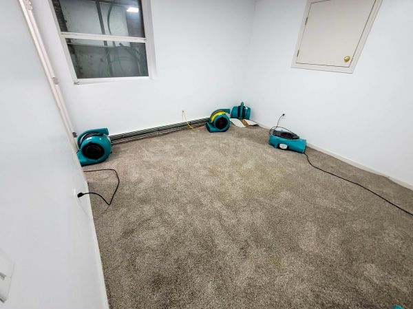 Cost of Flood Restoration Service in Colorado Springs