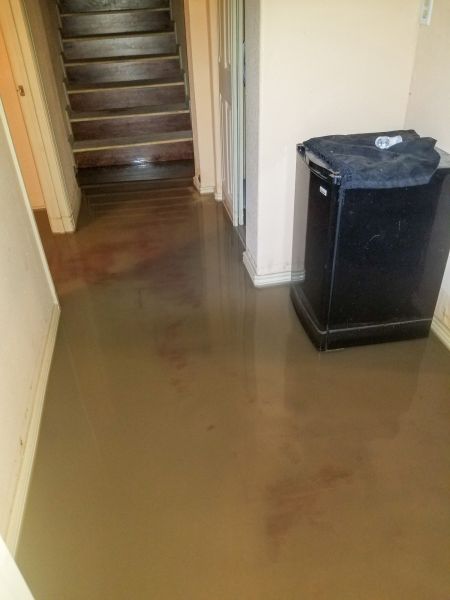 Cost of Emergency Water Removal in Colorado Springs