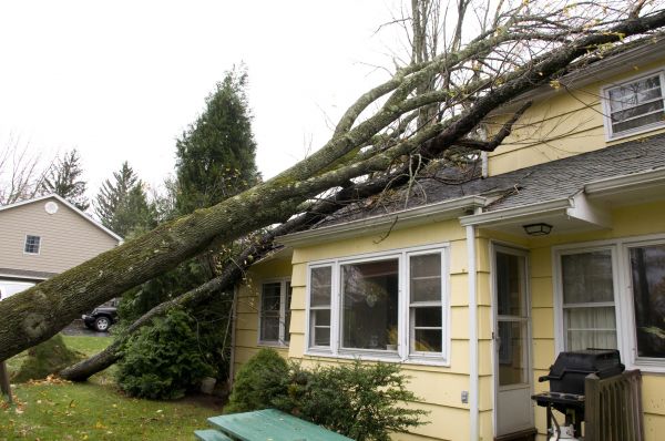 Cost of Storm Damage Mitigation in Colorado Springs